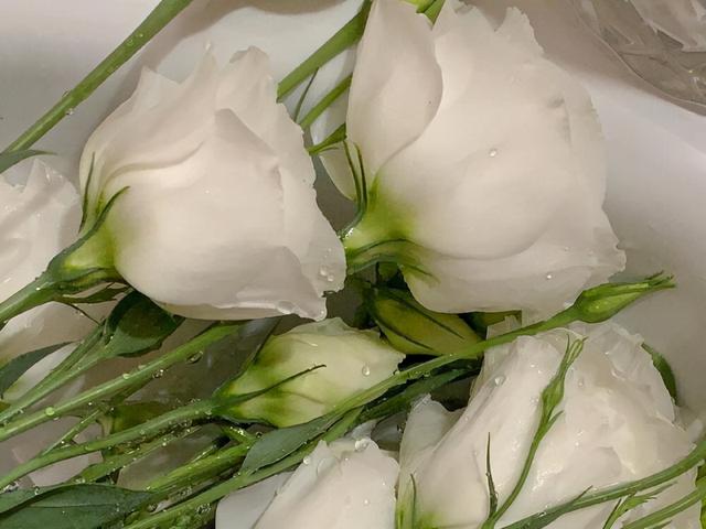 水瓶座是什么性格的人，水瓶座的人是什么性格的人（往往很少有人进来）