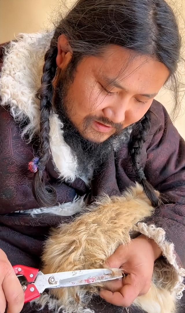 彪悍的蒙古汉子，蒙古人、维京人、萨摩亚人——哪个最强悍（202公里配送费584元）