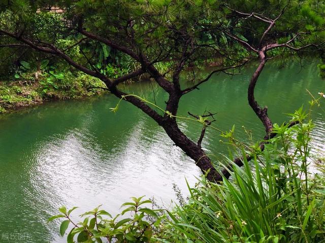 清远连州十大景点大全，清远这10个宝藏景点