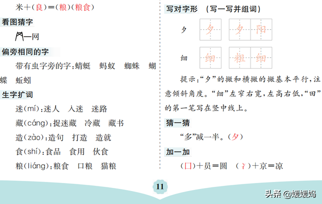 蛛组词有哪些词语，蛛组词组词语有哪些（部编版语文一年级下册第五单元知识梳理及考点清单）