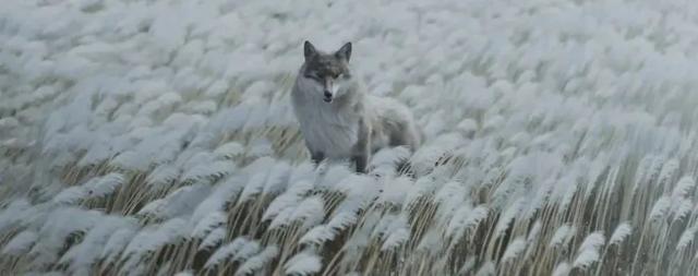 2022年番号作品封面大全，2022年十大日本女优排行榜（开年14部爆款佳片，必看！）