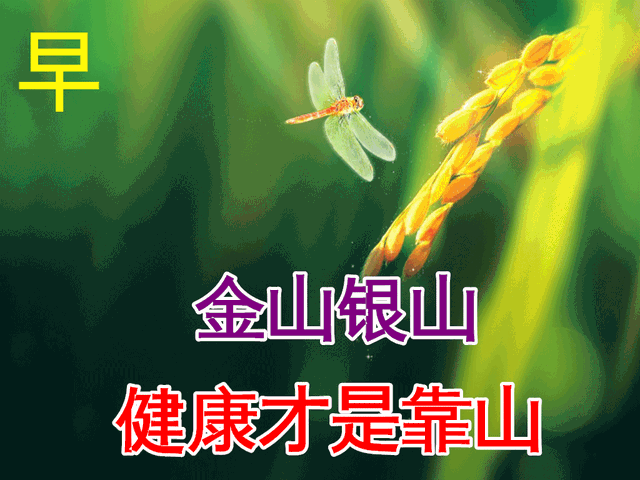 平安夜圣诞节的说说，平安夜圣诞节说说女朋友（平安夜朋友圈文案）