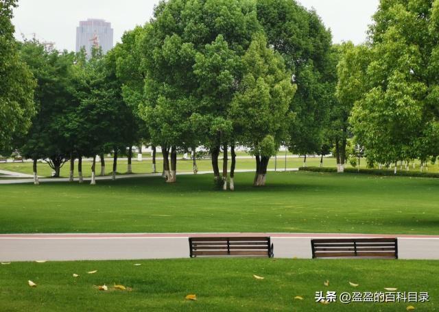 今日重庆公园游玩，这7个公园值得一去