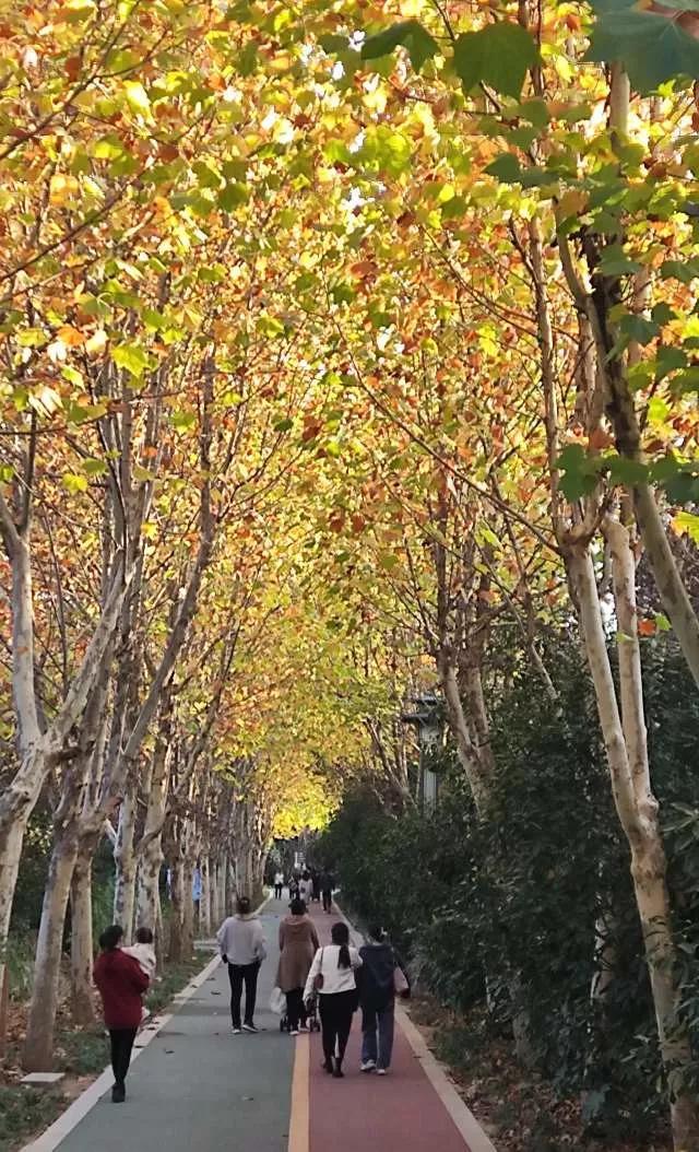 灵魂相似的人一旦相逢，灵魂相似的人一旦相逢是知心朋友（总有一天会在路上相逢）