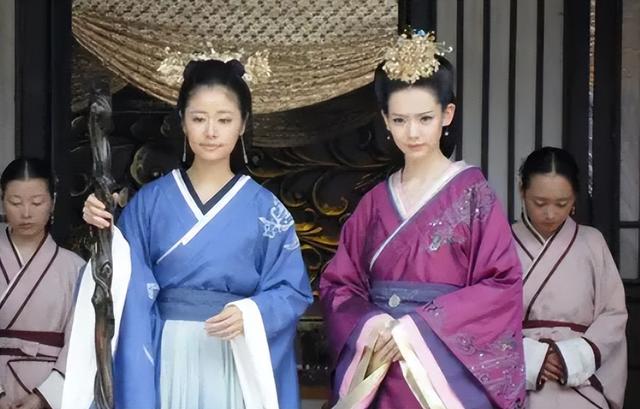 戚薇主演过的电视剧，戚薇演过的电视剧（给“公主演得最好的10个演员”排个名）