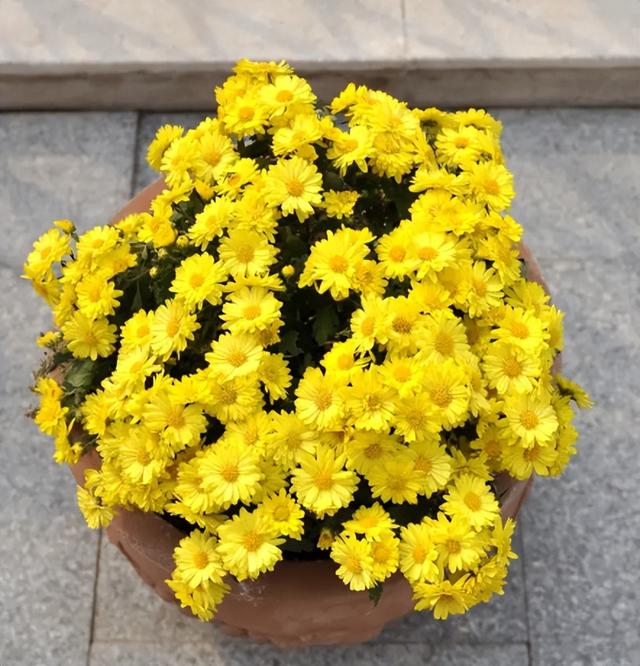 左的英语怎么读，左英文是L还是R（用声音记忆单词：分音节记单词）