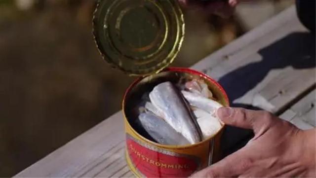 瑞典鲱鱼罐头存在的意义是什么，鲱鱼罐头的存在有什么意义（为何瑞典人一年吃掉八百多吨）