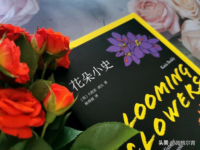 玫瑰的花语和它的传说，玫瑰的花语和它的传说有关（花朵在人类文明中的历史故事）