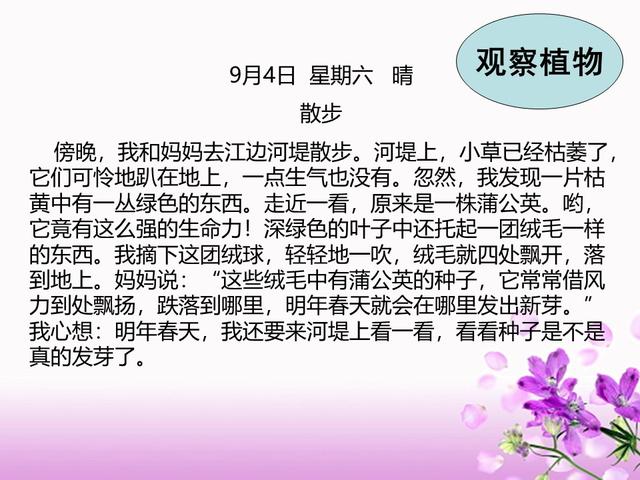 日记格式怎么写，日记格式怎么写 作文本（小学生写日记的格式+技巧+10篇范文整理）