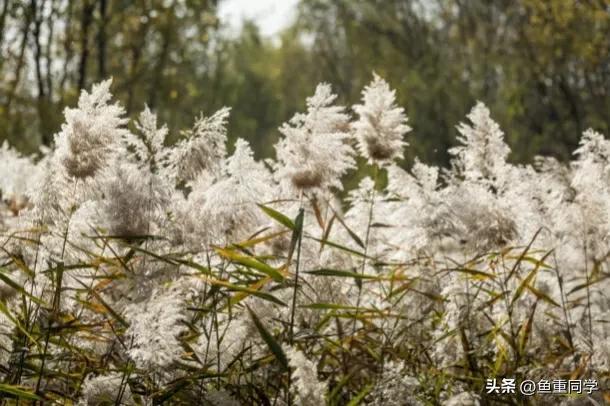 农历七月十四是什么节日，农历7月14什么节日（你知道是什么日子吗）