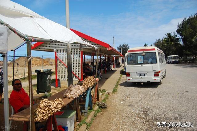 美媒称五眼联盟要崩 也：从未排除华为，汤加的华人都在干啥