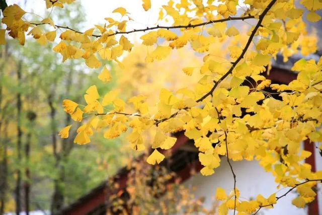 汉中旅游景点排名推荐，汉中旅游景点大全排名榜（在汉中一年四季可以这样玩 →）