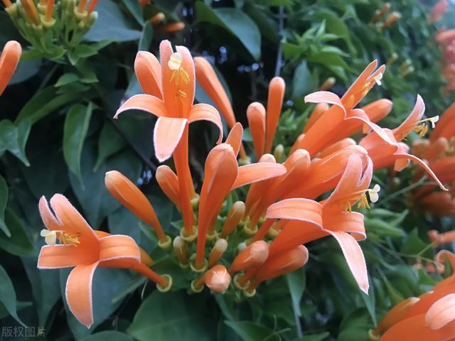 告诫自己该清醒的句子，告诫自己该清醒的句子大全（理智到清醒的句子，文案）