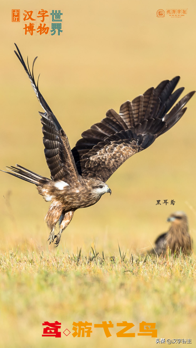 上面一个羽下面一个立，一个立一个羽念什么（苏翊鸣的“翊”字是什么意思）