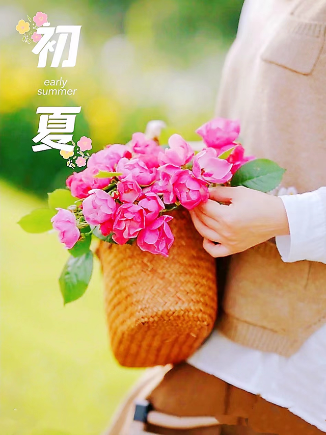 每日正能量句子，每日一句正能量励志句子（早安心语，正能量说说经典句子）