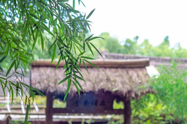 含束的成语，束成语有哪些成语大全（10个冷门却惊艳的小众成语）