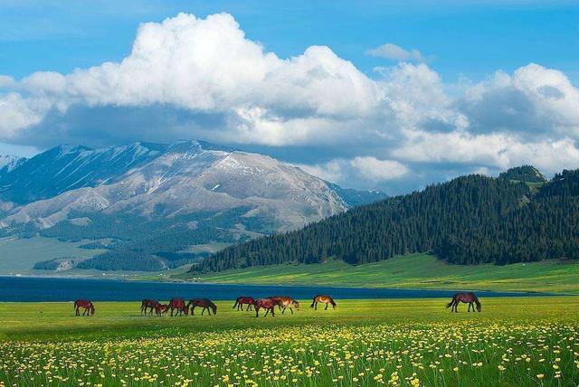 新疆日照时间多长，新疆日照时间长吗（新疆刷新了我的知识盲区）