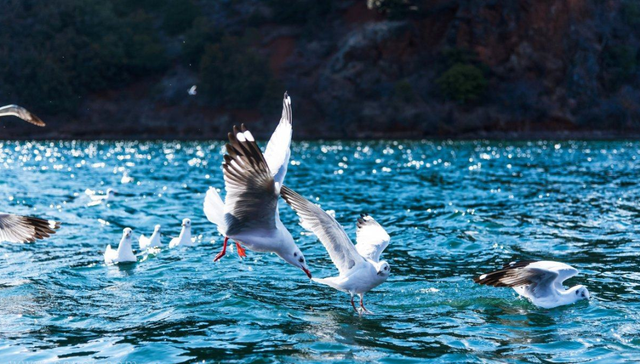 一个人可以玩什么，一个人玩的运动项目（适合一个人旅行的10个地方）