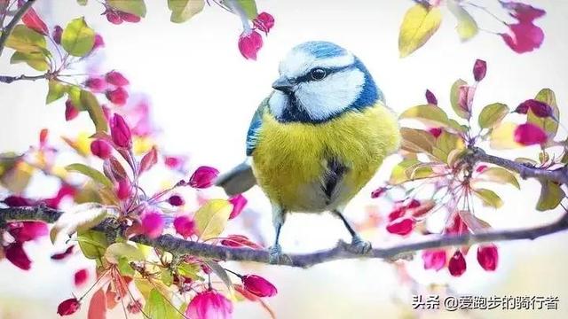 形容安静的句子，形容安静的唯美句子（让人安静的句子）