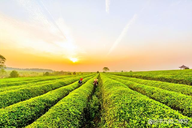 南昌旅游景点，南昌旅游景点有哪些（南昌——经典必去的游玩景点）