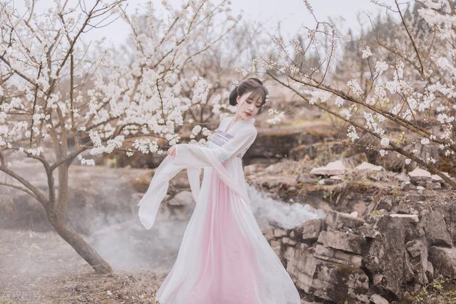 飞鸟与鱼不同路，山鸟与鱼不同路意思（绝美古诗赏识：飞鸟与鱼）