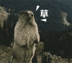 土拨鼠尖叫表情包，土拨鼠尖叫表情包在哪里下啊（土拨鼠暴走大叫的表情包）