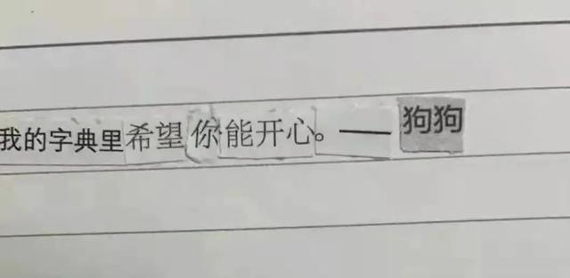 小狗文学啥意思，小狗文学是什么意思（谁能拒绝可爱又治愈的呢）