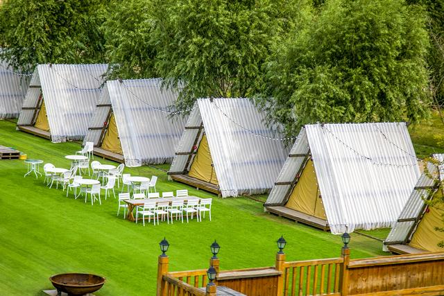 很罕见又很好看的闺蜜头像，超好看稀有闺蜜头像 可以再浪漫一些 夜晚 微风和鲜花微信（山林里的甜蜜派对）