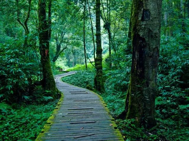 红河旅游攻略，云南红河旅游（云南红河州十二大旅游景点）