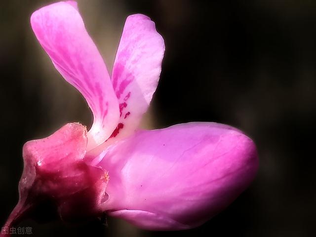 鸦青色是什么颜色（中国传统颜色的雅称有哪些）