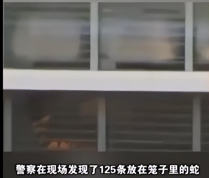 宠物蛇吃主人案例（美国男子被蛇毒死）