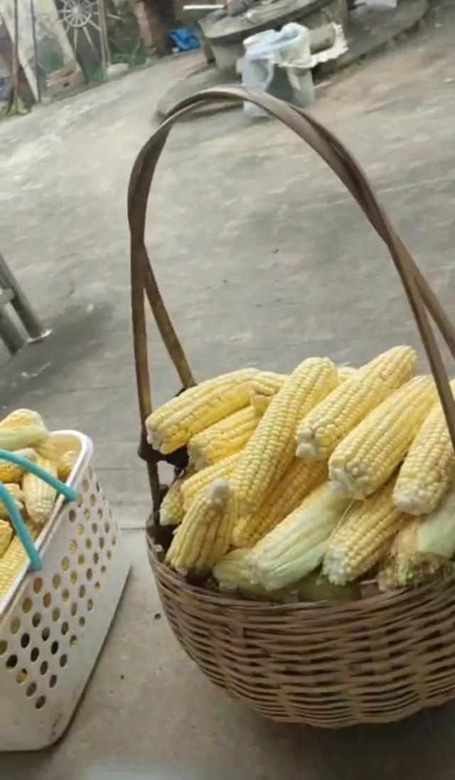 香蕉心发黑能吃吗，香蕉心变黑了还能吃吗（发黑的香蕉有人吃吗）