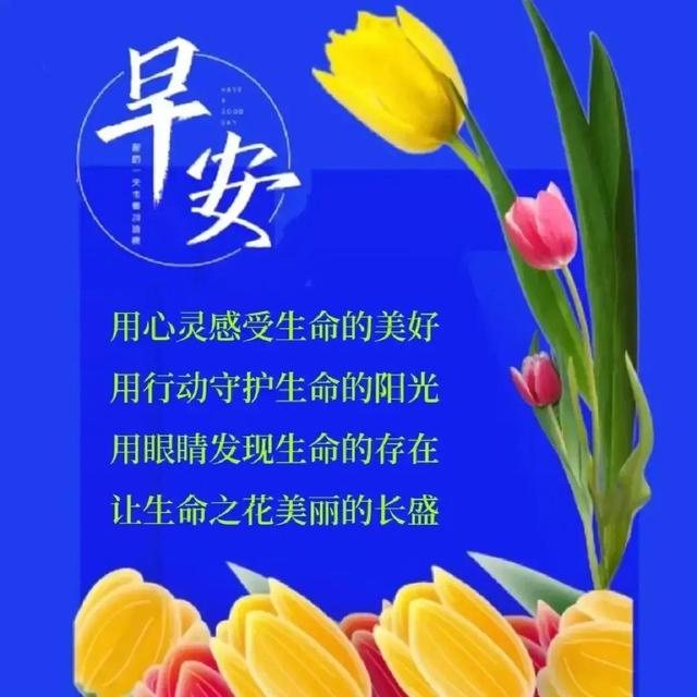 03年属什么生肖，03年属什么（2023年04月03日）