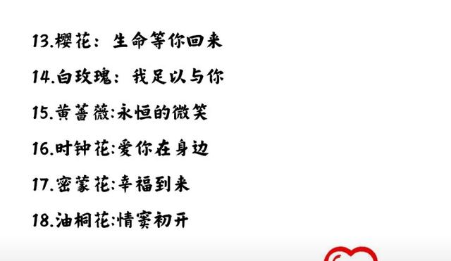 花的象征意义，菊花的象征意义（各种花代表的含义）