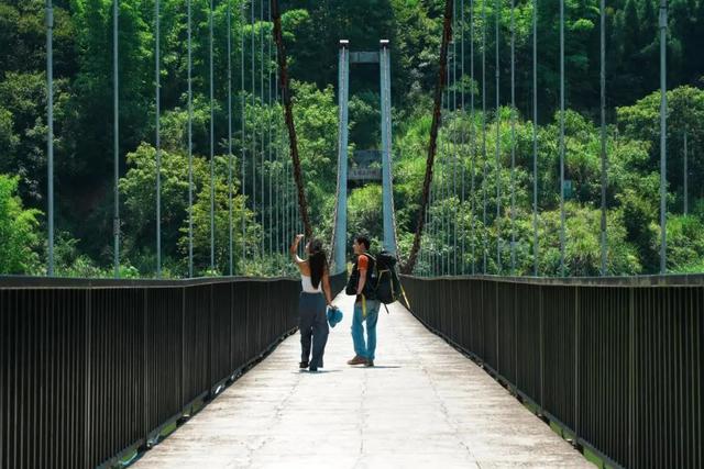 黑木耳可别这么吃，黑木耳咋吃好（徒步旅行or沿线游玩）