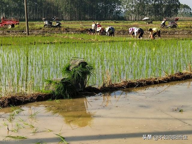 做家政一个月多少钱，家政公司费用一览表（雇主每个月给6500工资很不错）
