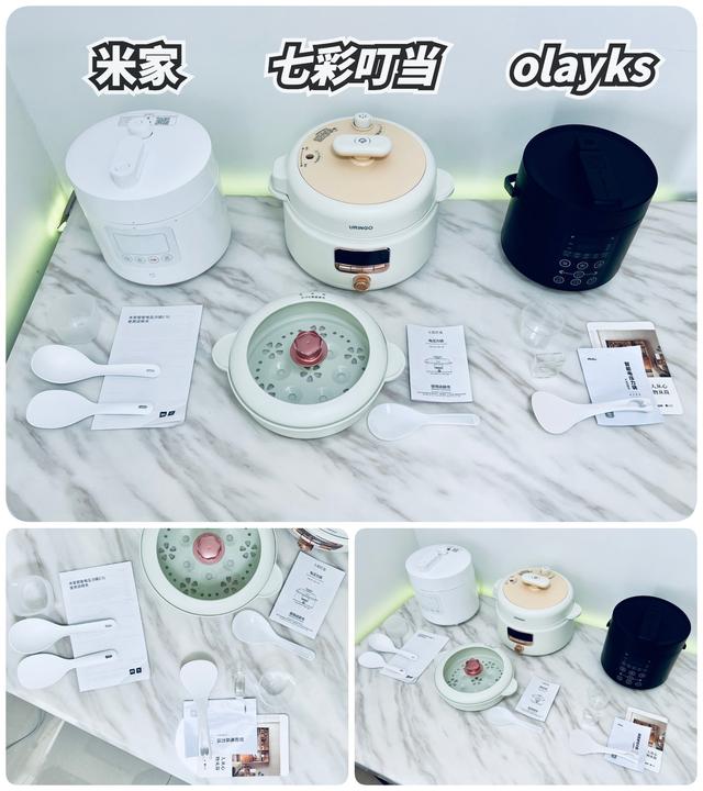 电压力锅炖排骨，电压力锅炖排骨做法（攻略+横评+实测）