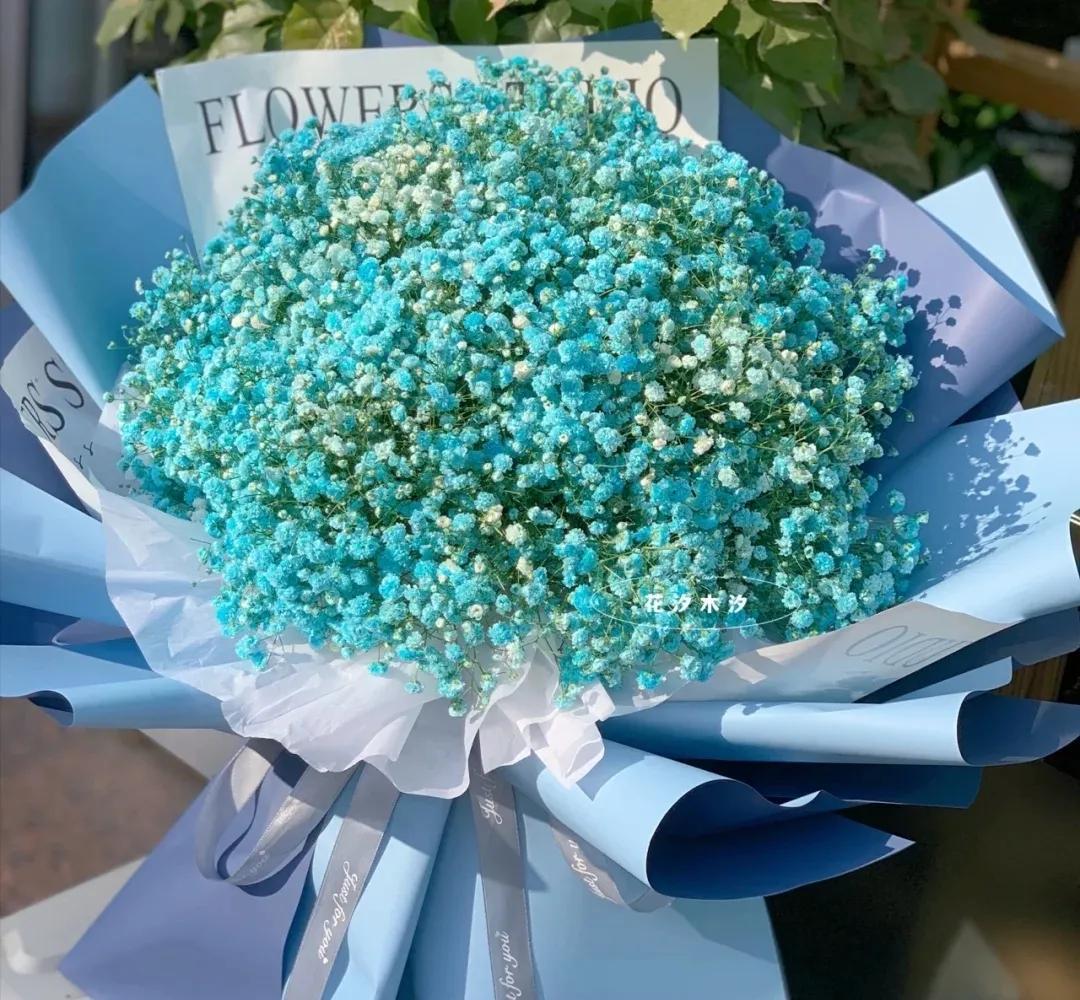 满天星辰不及你原唱(满天星辰不及你) - 农业 - 爱宁信息网