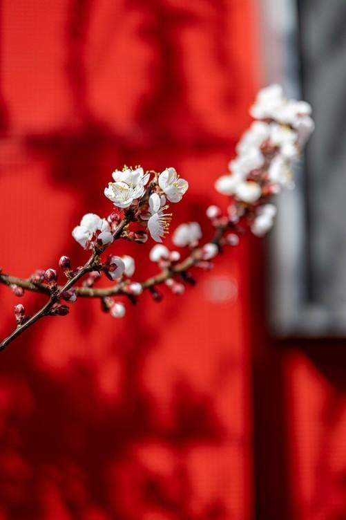 相机参数知识普及，相机拍摄参数知识普及（10499元全能表现的入门级全画幅相机）