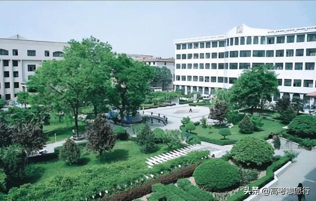 陕西财经类大学排名及分数线，陕西财经学院分数线是多少（考上任何1所都了不起）