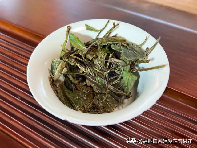 福鼎白茶产区磻溪，带你了解白茶优质产区，磻溪镇
