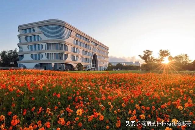 上海对外经贸大学有哪些专业，比较好的王牌重点特色专业（市属重点财经类院校）