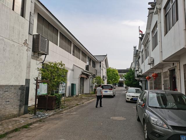 碧螺春产于哪里，碧螺春主要产于哪里（碧螺春又称\