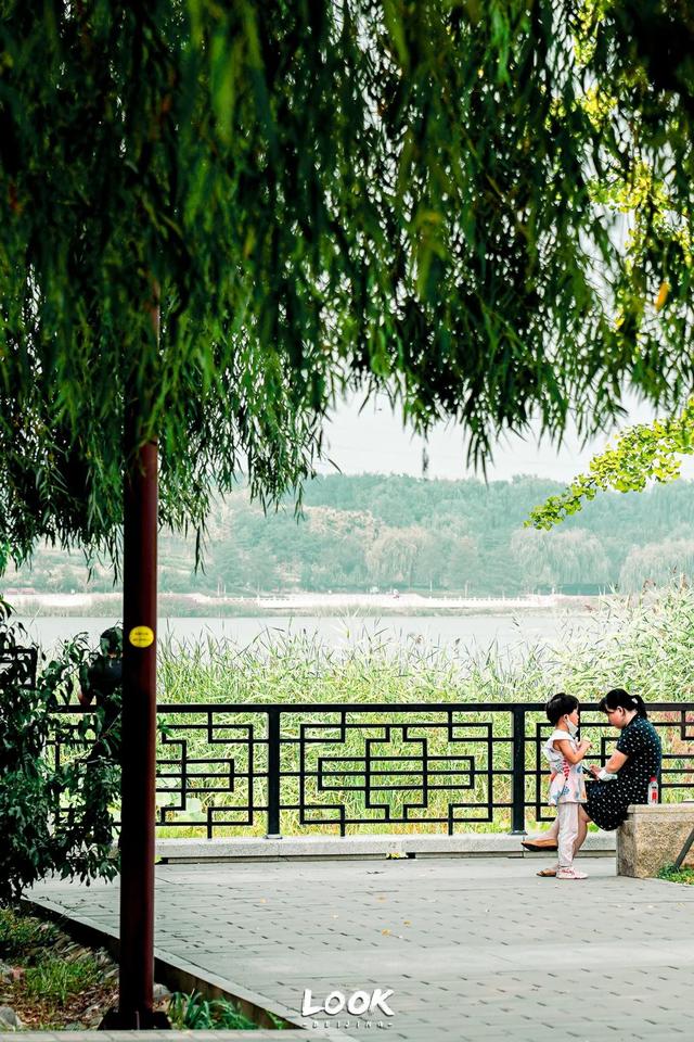 广州越秀公园游玩攻略，广州越秀公园旅游攻略（北京市内最大湿地公园）