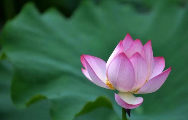 七戒是哪七戒，七戒是哪七戒秒懂百科（人生九戒，你都知道吗）