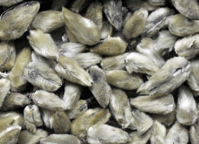 鼻炎流鼻涕怎么办，经常流鼻涕怎么治（一张方子告诉你）