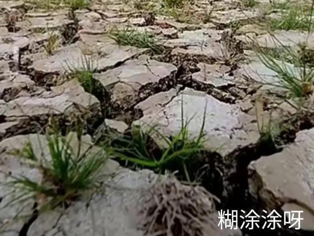 下雨了是什么梗，下雨的梗有哪些（网友评论“萧敬腾来一趟”是个什么梗）