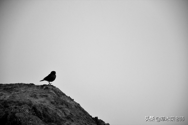 史铁生的代表作，史铁生代表作有小说什么（《史铁生作品精选》）