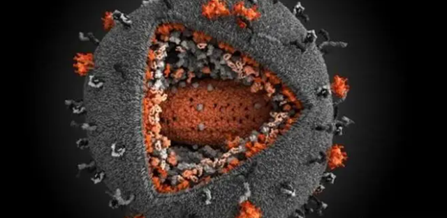 2003年非典多少人感染，2003年非典感染人数是多少（2003年让人胆寒的非典）