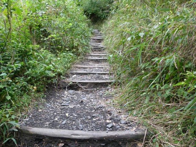 幽默有趣的对联，10条有趣的对联（谐趣幽默的2副精品对联）